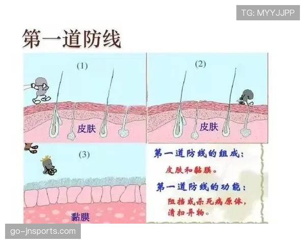 罗德里如何以防线屏障与二次进攻发起点定义现代后腰的双重价值